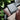 The Tyler Wallet Collection